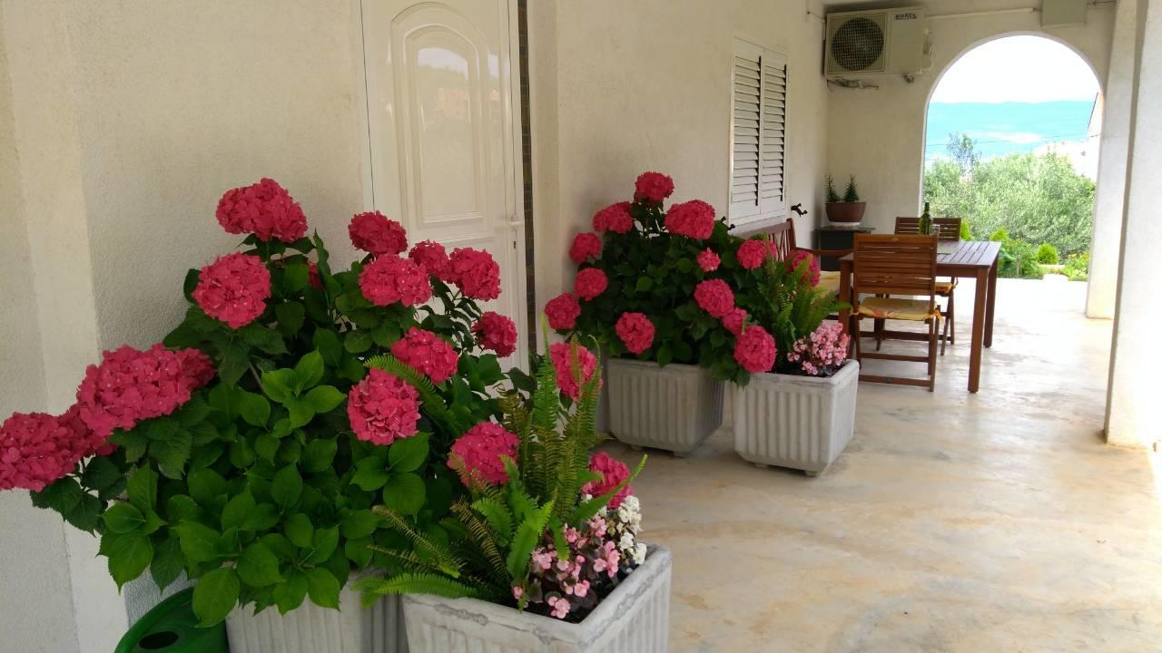 Megi1 Apartment Vrbnik Luaran gambar